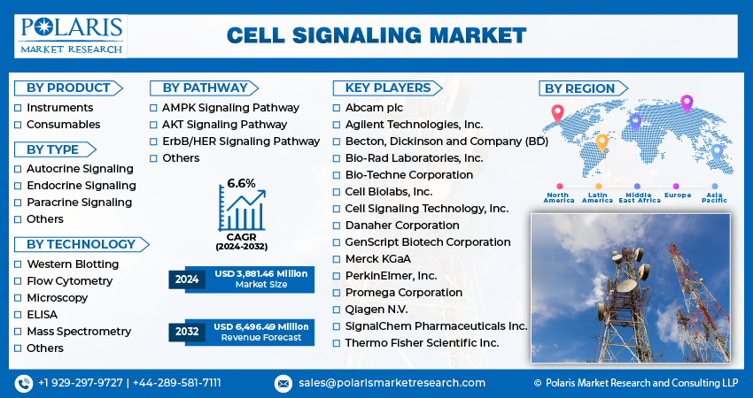 Cell Signaling Market
